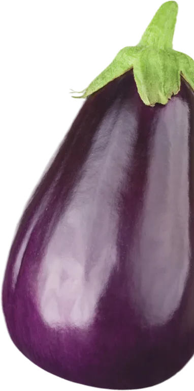 Aubergine