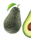 Avocado