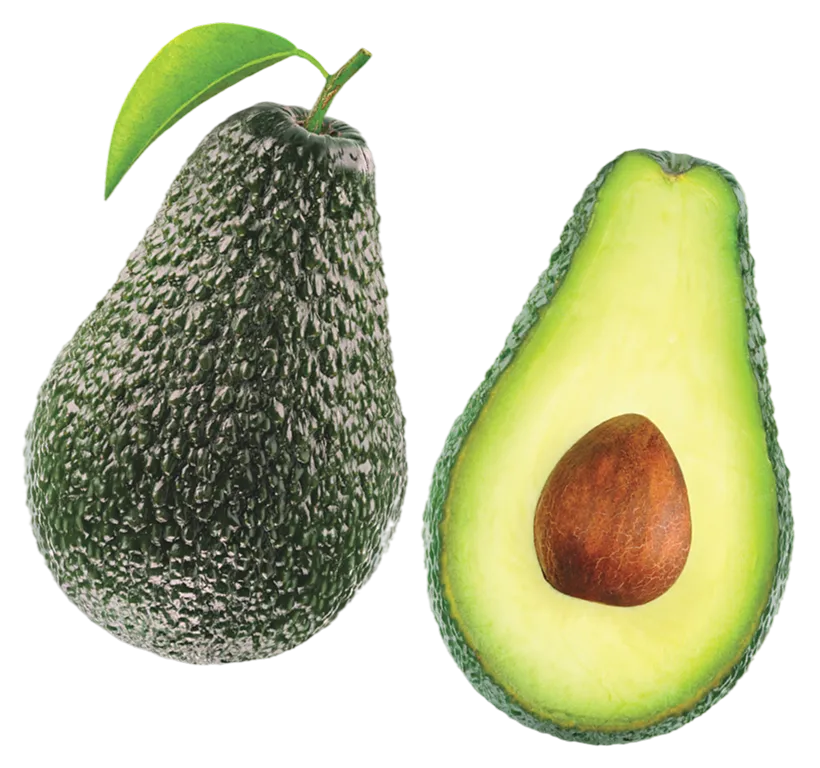 Avocado