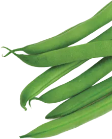 Peas