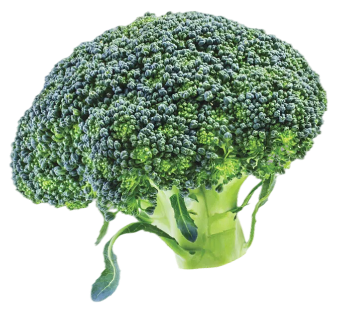 Broccoli